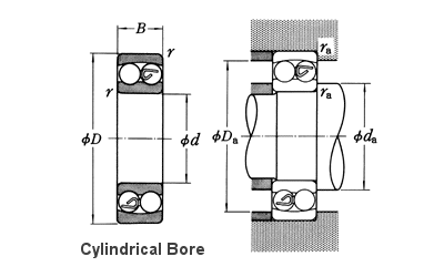 Ceramic Self-Aligning Ball Bearing