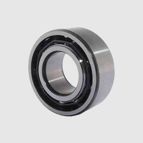 Double Row Deep Groove Ball Bearing