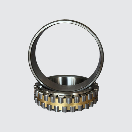 Double Row Cylindrical Roller Bearing